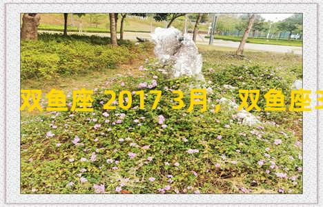 双鱼座 2017 3月，双鱼座3月17日性格